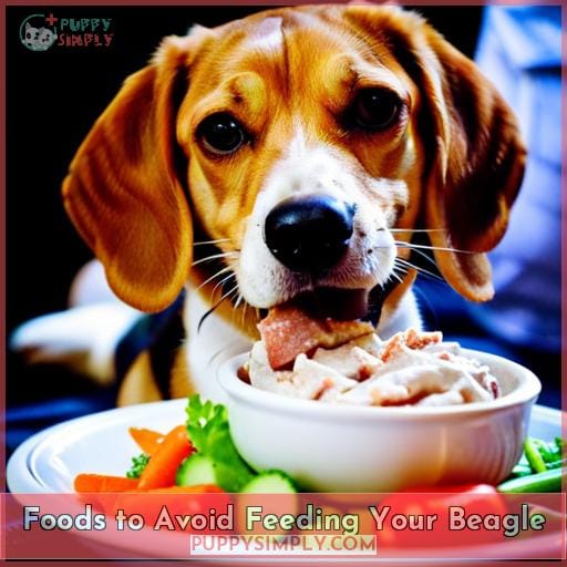 Foods to Avoid Feeding Your Beagle