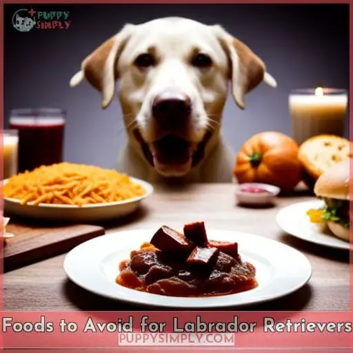 Foods to Avoid for Labrador Retrievers