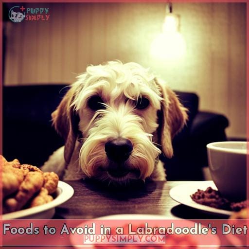 Foods to Avoid in a Labradoodle