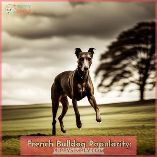 French Bulldog Popularity:
