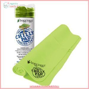 FROGG TOGGS Chilly Pad, Instant B002NGSB96