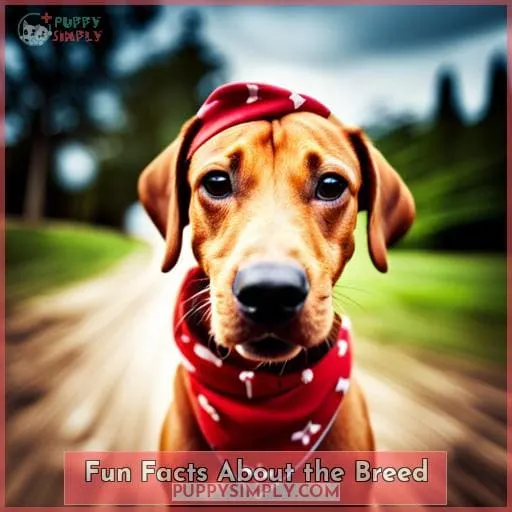 Fun Facts About the Breed