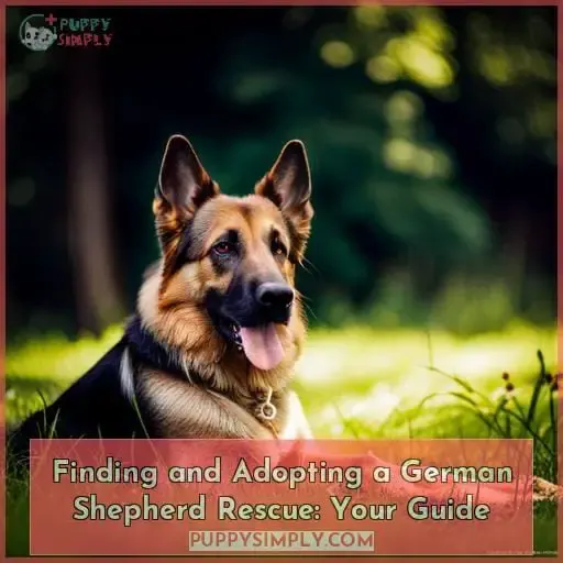 german shepherd rescue guide how to find one and what it will be like