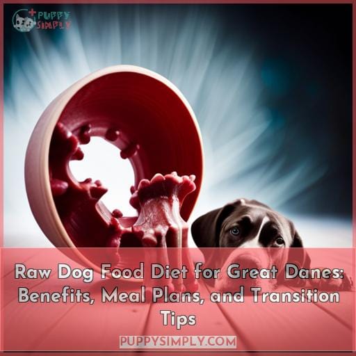 raw-dog-food-diet-for-great-danes-benefits-meal-plans-and-transition