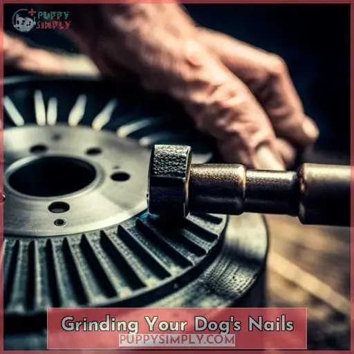 Grinding Your Dog