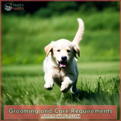 Grooming and Care Requirements