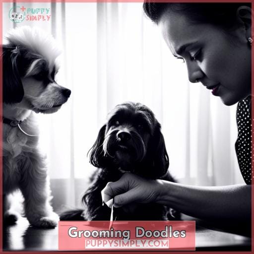 Grooming Doodles