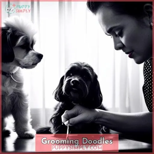 Grooming Doodles