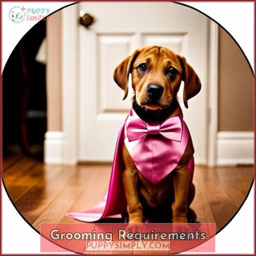 Grooming Requirements