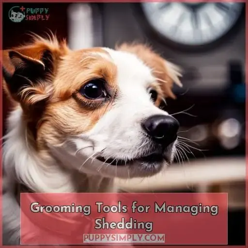 Grooming Tools for Managing Shedding