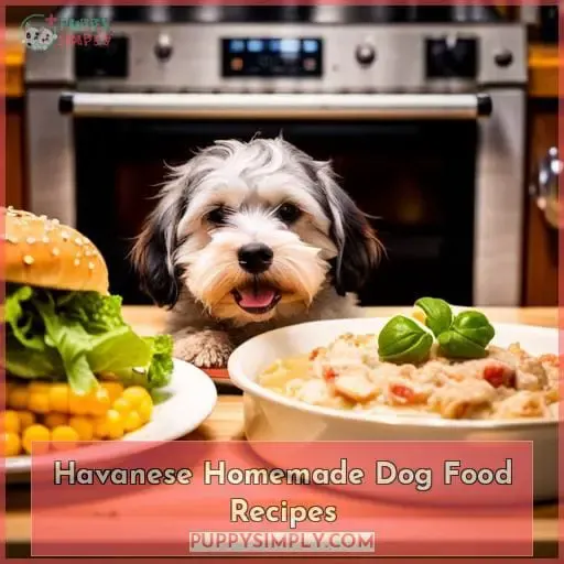 Havanese Homemade Dog Food Recipes