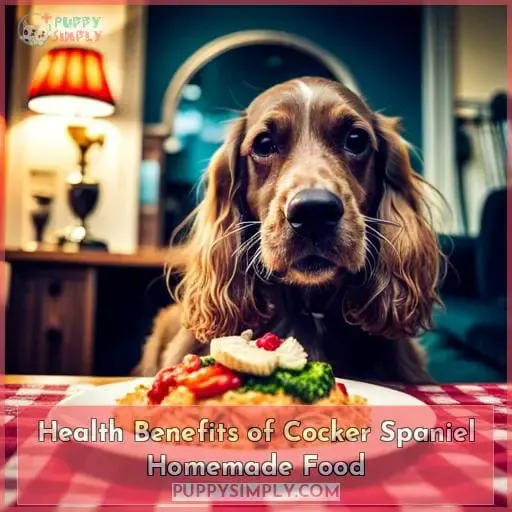 Health Benefits of Cocker Spaniel Homemade Food