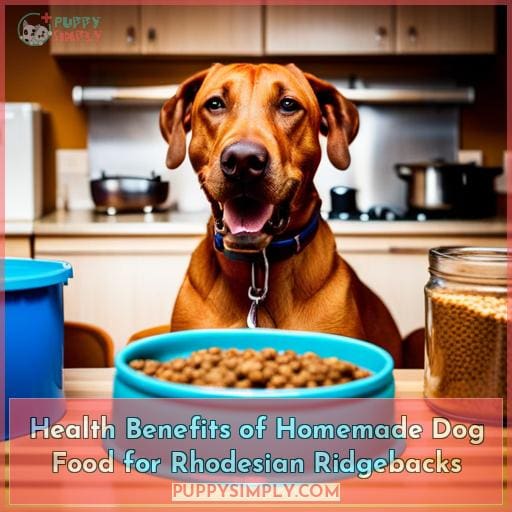 Health Benefits of Homemade Dog Food for Rhodesian Ridgebacks