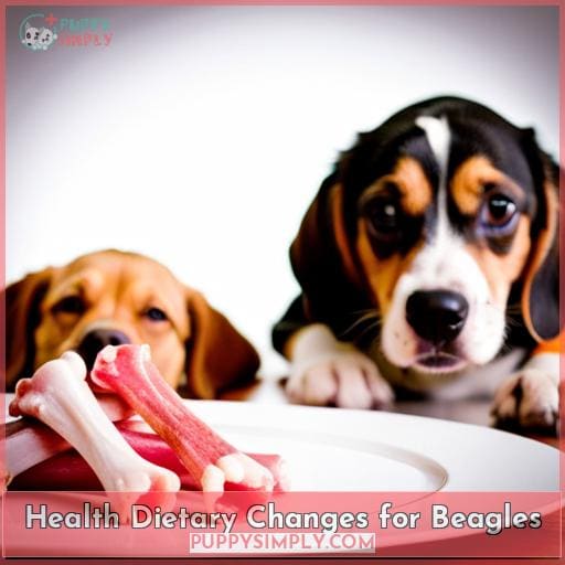 Health Dietary Changes for Beagles