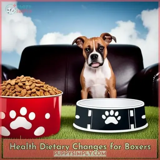 Health Dietary Changes for Boxers