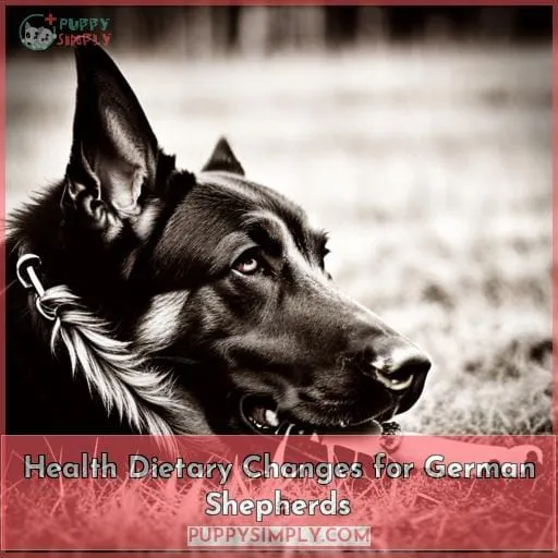 Health Dietary Changes for German Shepherds