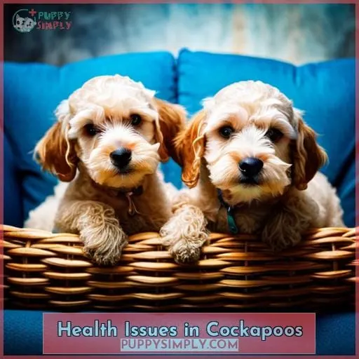 Health Issues in Cockapoos