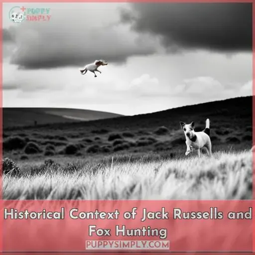 Historical Context of Jack Russells and Fox Hunting
