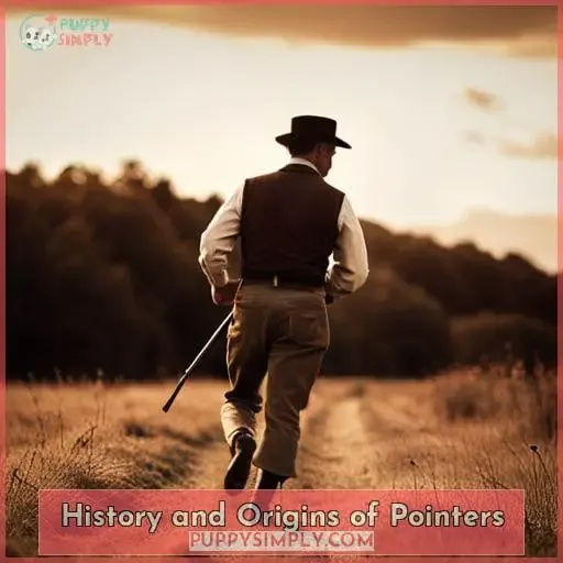 History and Origins of Pointers