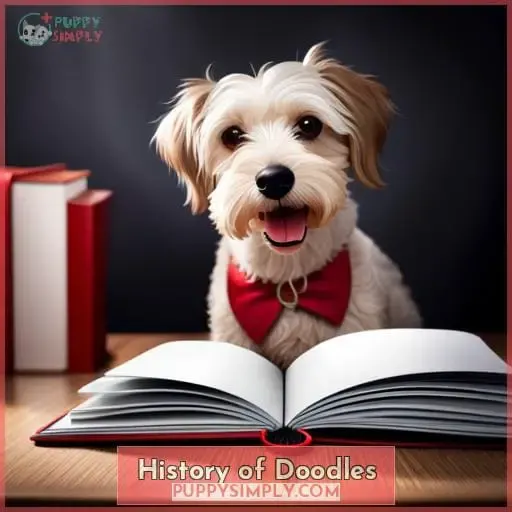History of Doodles