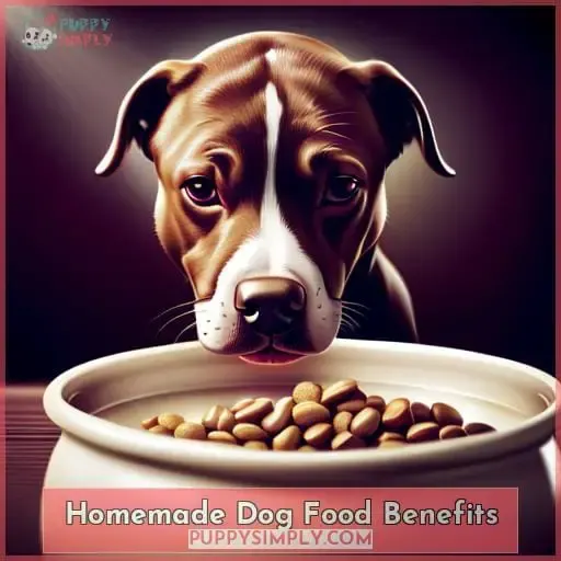 Homemade Dog Food Benefits