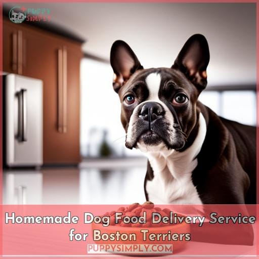 Homemade Dog Food Delivery Service for Boston Terriers