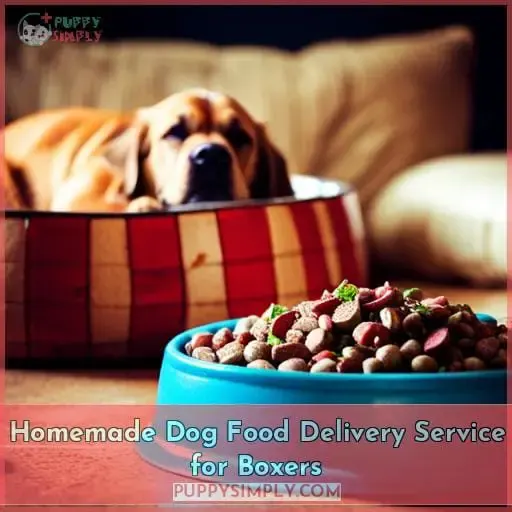 Homemade Dog Food Delivery Service for Boxers