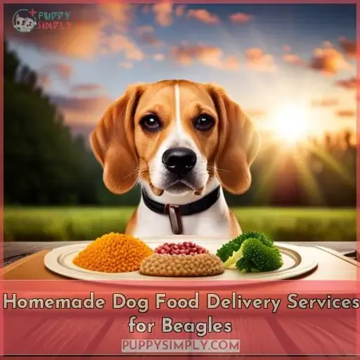 Homemade Dog Food Delivery Services for Beagles