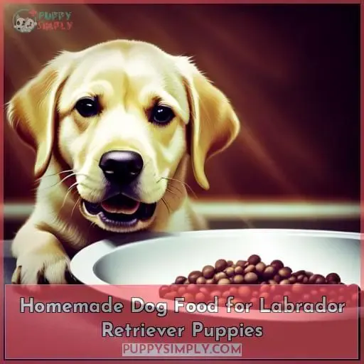 Homemade Dog Food for Labrador Retriever Puppies