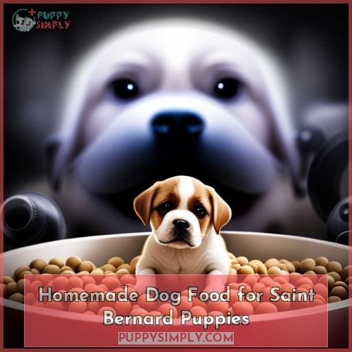 Homemade Dog Food for Saint Bernard Puppies