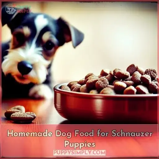 Homemade Dog Food for Schnauzer Puppies