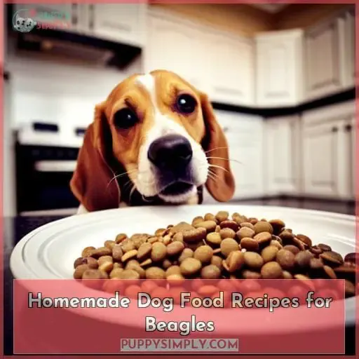Homemade Dog Food Recipes for Beagles