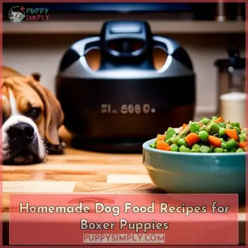 Homemade Dog Food Recipes for Boxer Puppies