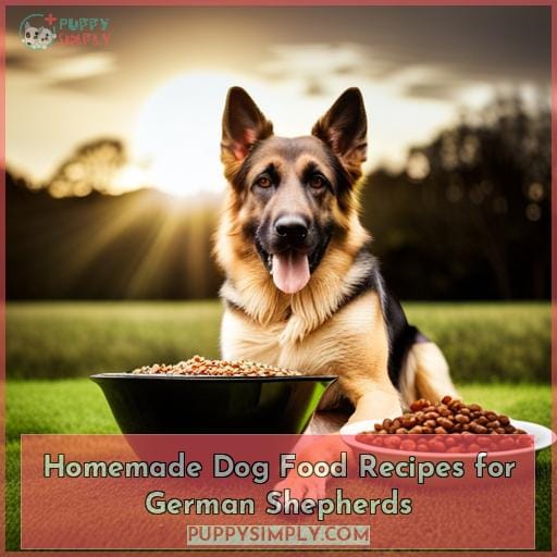 Homemade Dog Food Recipes for German Shepherds