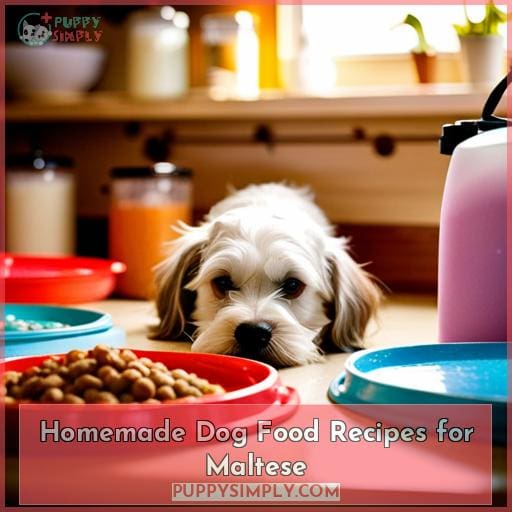 Homemade Dog Food Recipes for Maltese