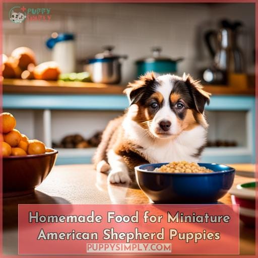 Homemade Food for Miniature American Shepherd Puppies
