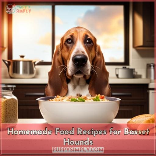Homemade Food Recipes for Basset Hounds