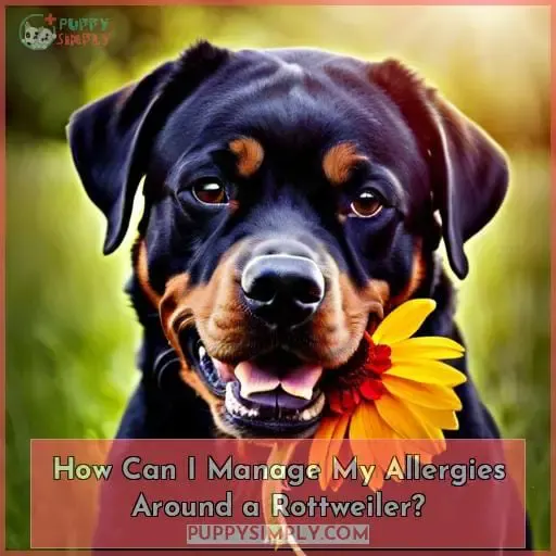 How Can I Manage My Allergies Around a Rottweiler