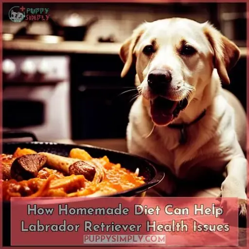 How Homemade Diet Can Help Labrador Retriever Health Issues