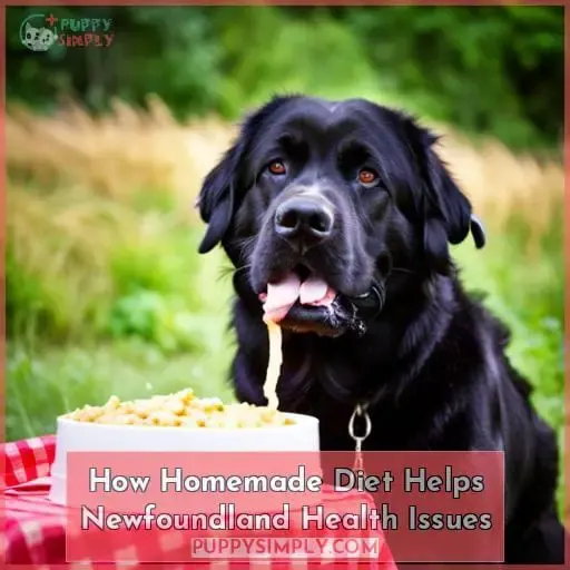 How Homemade Diet Helps Newfoundland Health Issues