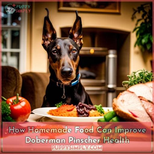 How Homemade Food Can Improve Doberman Pinscher Health