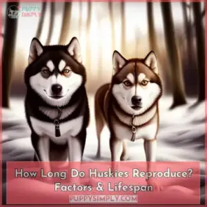 how long do huskies reproduce