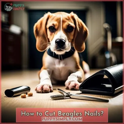 How to Cut Beagles Nails