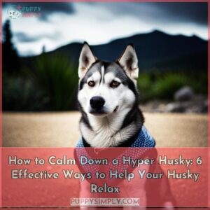 how to get huskies to calm down