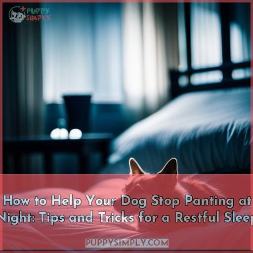 How to Help Your Dog Stop Panting at Night: Tips and Tricks for a Restful Sleep