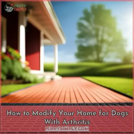 How to Modify Your Home for Dogs With Arthritis