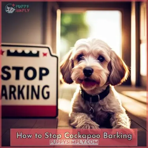 How to Stop Cockapoo Barking