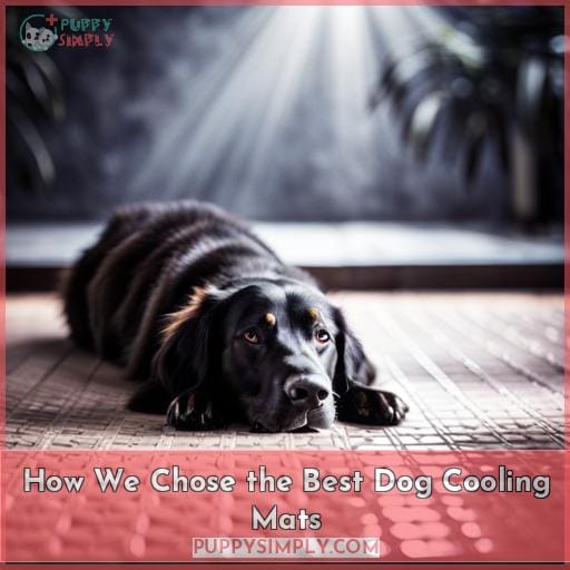 How We Chose the Best Dog Cooling Mats