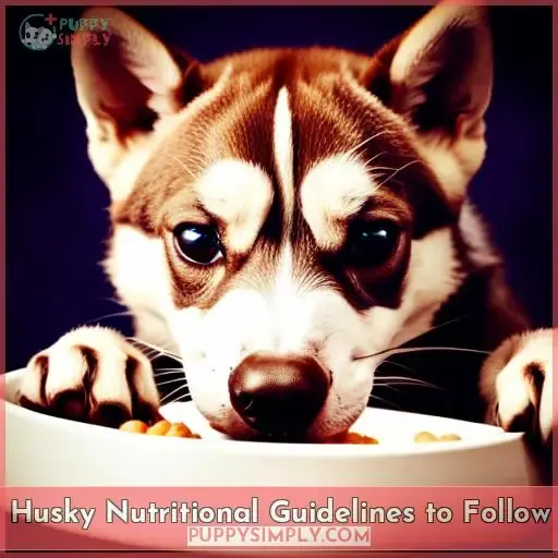 Husky Nutritional Guidelines to Follow