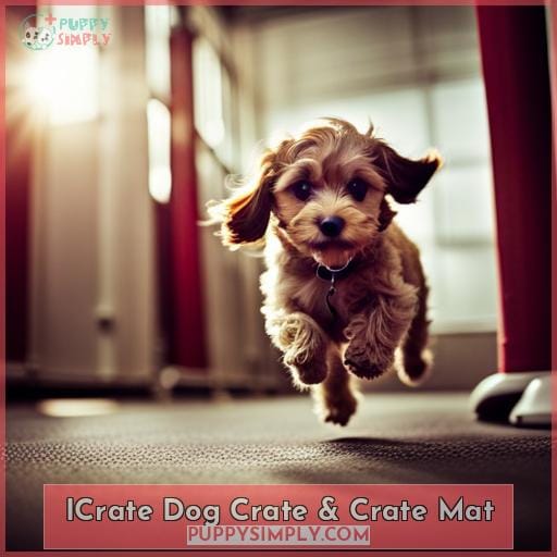 ICrate Dog Crate & Crate Mat